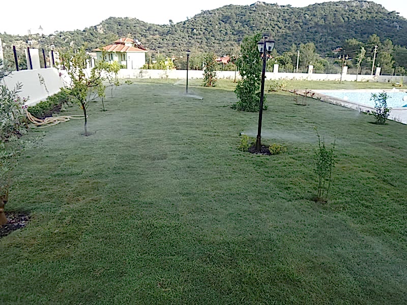 Yavuz Selim Şen-Sarıgerme