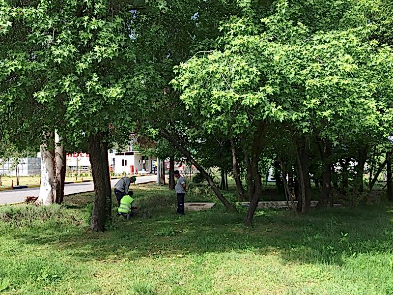 Damla Su-Köyceğiz