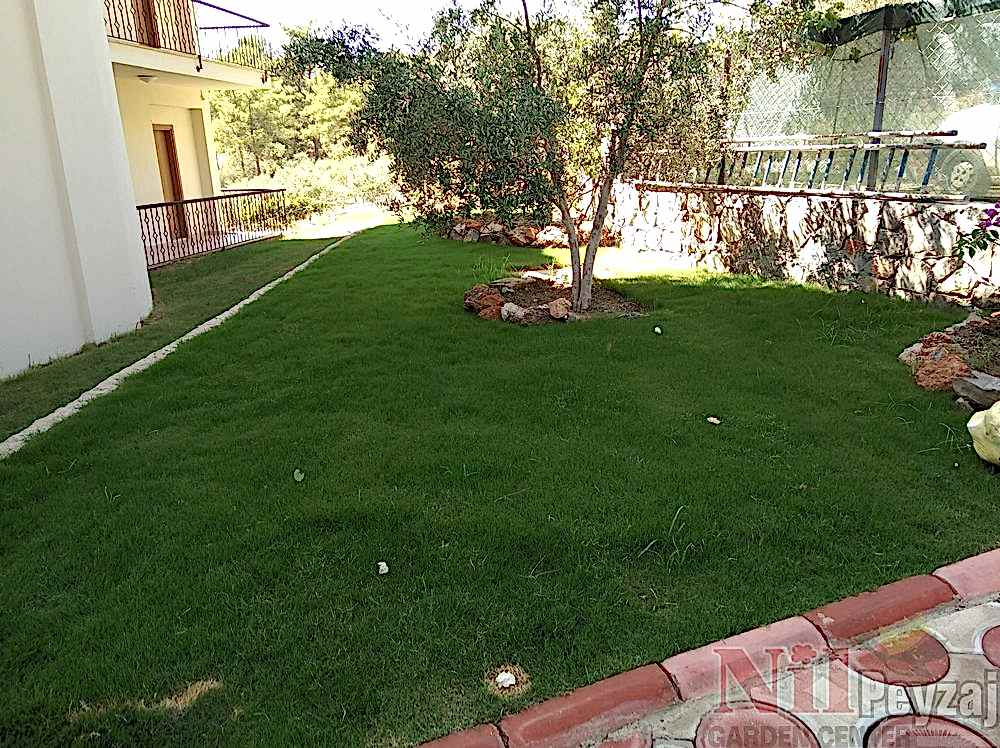 In-forest Göcek- Uğur Atıcı