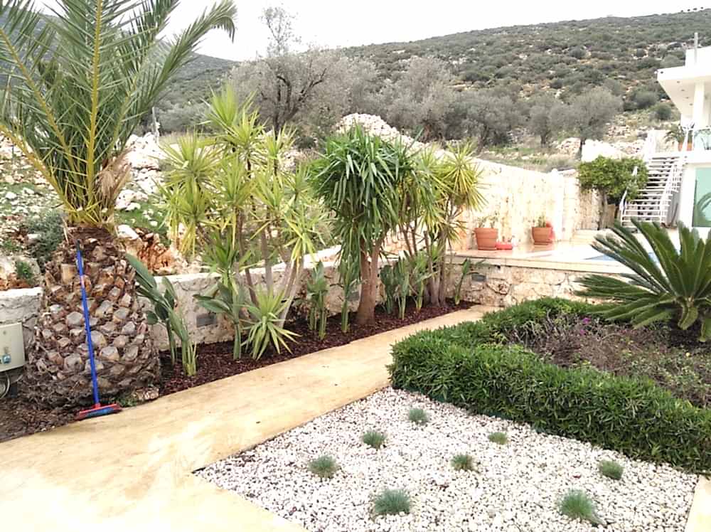 Lesley Irvina-Kalkan